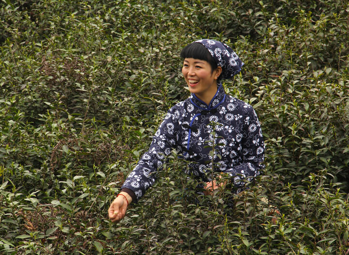 动漫直播